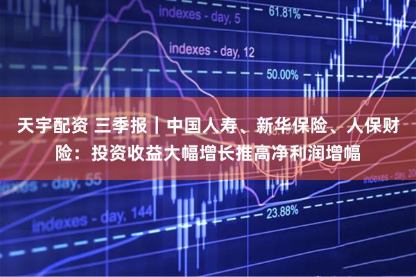 天宇配资 三季报｜中国人寿、新华保险、人保财险：投资收益大幅增长推高净利润增幅