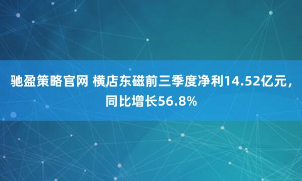 驰盈策略官网 横店东磁前三季度净利14.52亿元,同比增长56.8%